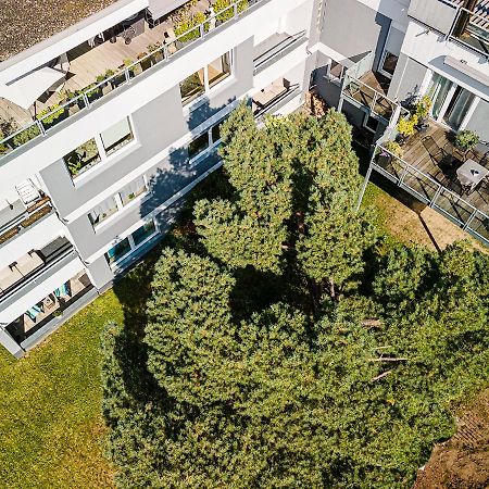 Ferienwohnungen Riese - Weitblick Arnsberg Exteriér fotografie